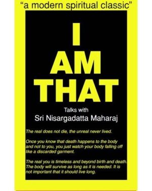 NisargadattaMaharaj IAMTHAT 5 2