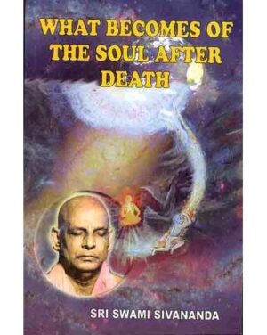 what becomes of the soul